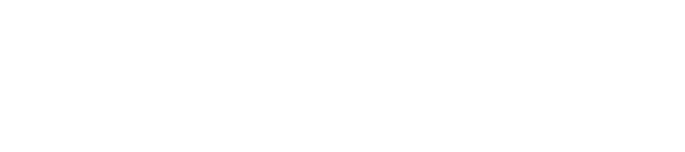Verizon