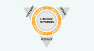 Our Coaching Model