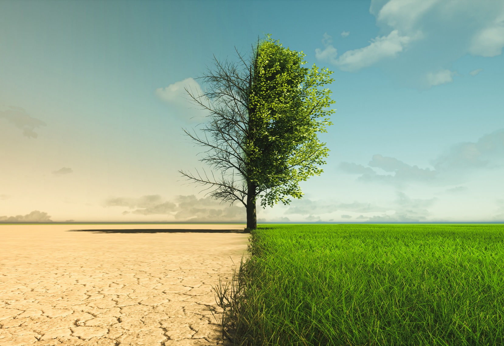 desert changing to green landscape